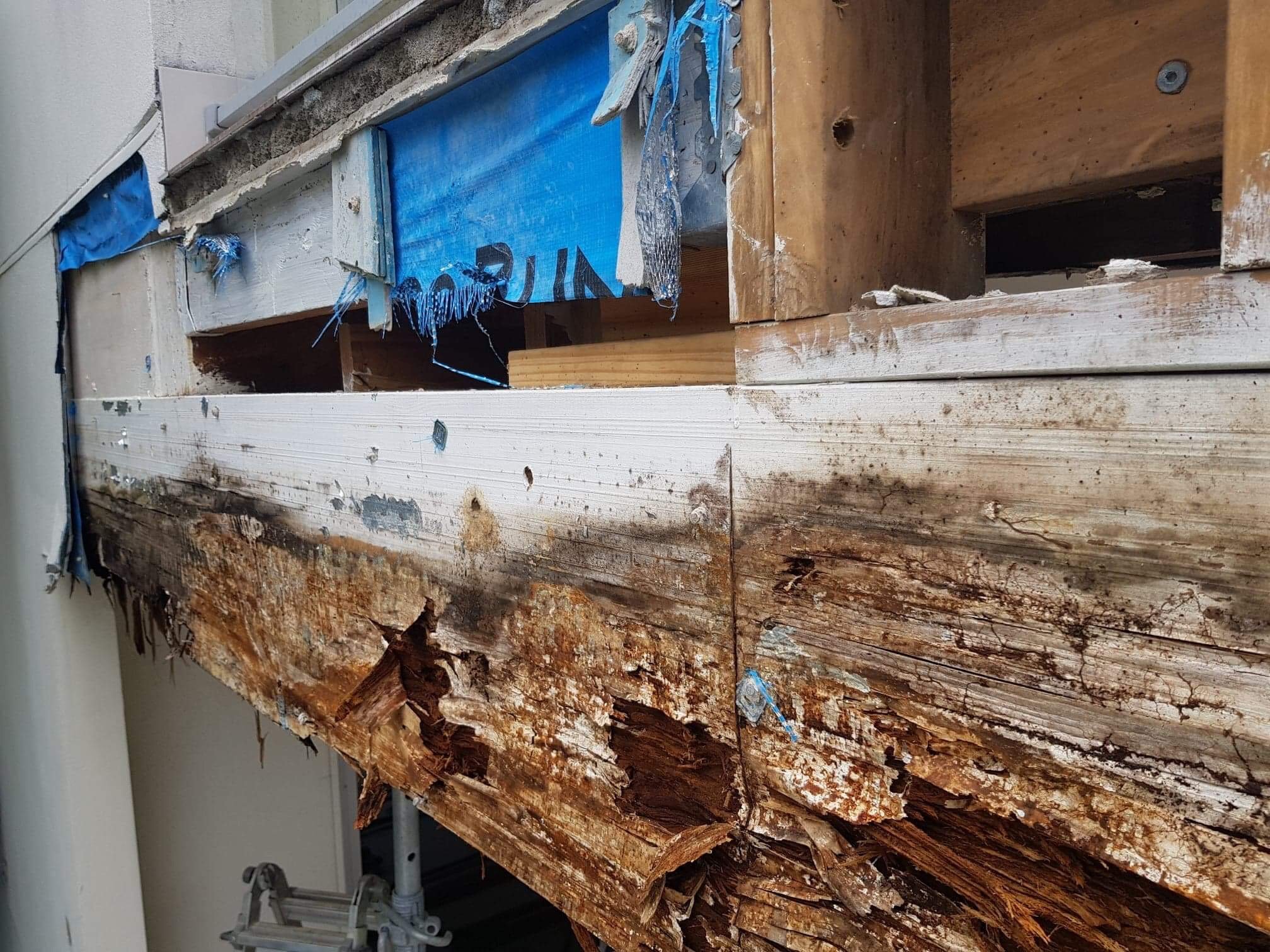 The Leak That Ruined Everything...Almost